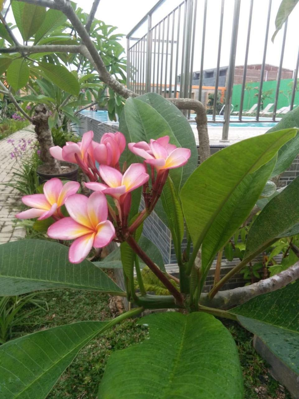 Fortune Front One Hotel Kendari Luaran gambar